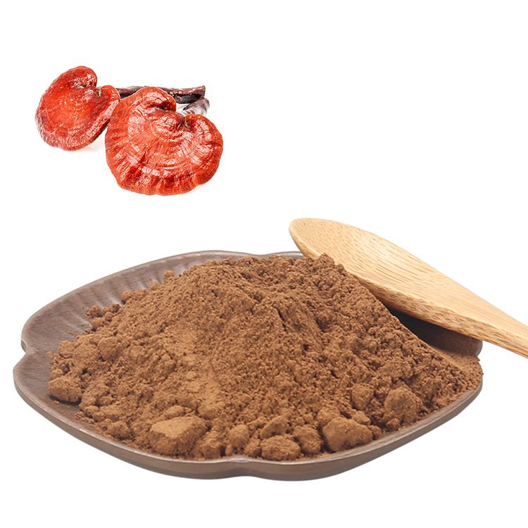 What Makes a Ganoderma Supplement USDA Organic Certified
